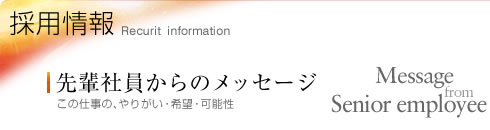 先輩社員からのメッセージ